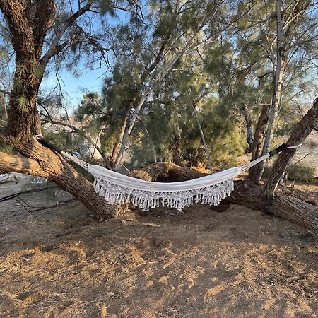 Casa Agave: Comfy Joshua Tree Cottage With Free Breakfast Bar Exterior photo