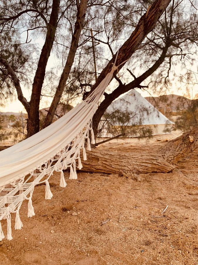 Casa Agave: Comfy Joshua Tree Cottage With Free Breakfast Bar Exterior photo