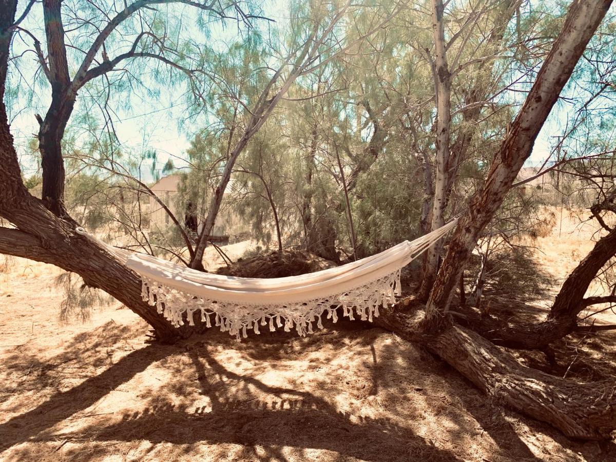 Casa Agave: Comfy Joshua Tree Cottage With Free Breakfast Bar Exterior photo