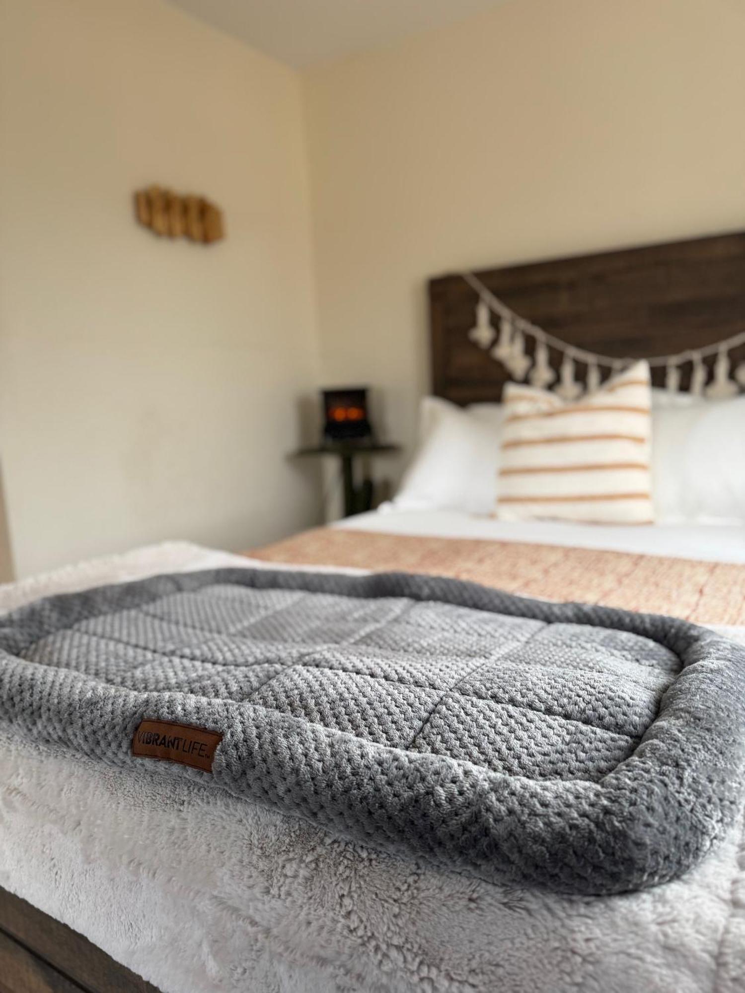Casa Agave: Comfy Joshua Tree Cottage With Free Breakfast Bar Exterior photo