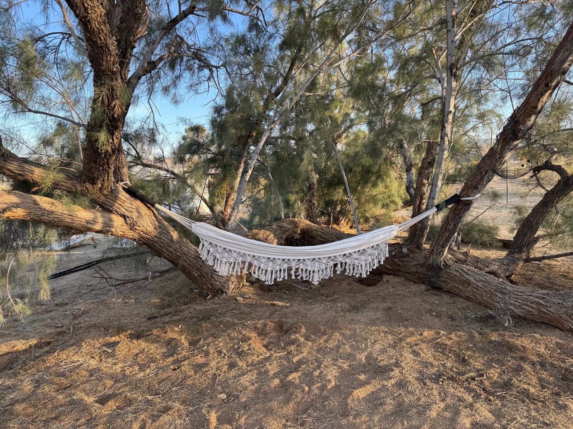 Casa Agave: Comfy Joshua Tree Cottage With Free Breakfast Bar Exterior photo
